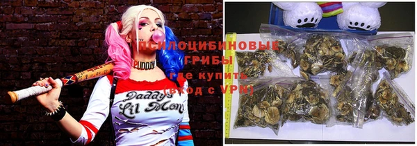 дмт Беломорск