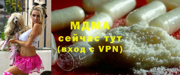 индика Белоозёрский