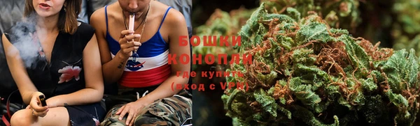 индика Белоозёрский