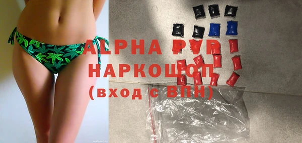 индика Белоозёрский