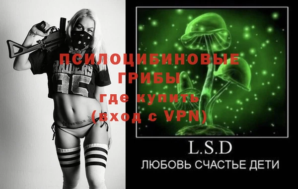 индика Белоозёрский