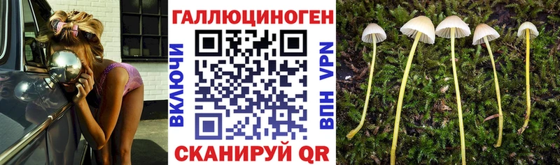 Галлюциногенные грибы ЛСД  даркнет какой сайт  Пыть-Ях  купить закладку 